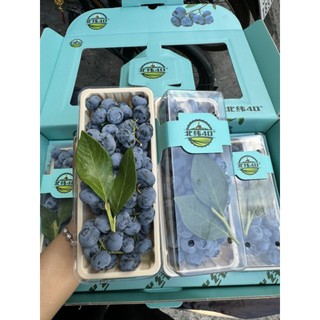 [ HOẢ TỐC ] [ JENNY FRUIT ] Việt quất tươi giá siêu rẻ 1h/250gr