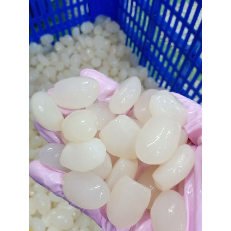 1kg ĐÁC TƯƠI GIÀ- LÕI TRẮNG̣̣̣̣̣̣(trước khi đặt vui lòng xem kỹ,tránh hủy đơn)