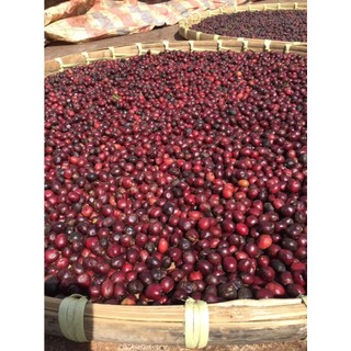 Cà Phê Đặc Biệt Thái Châu (Mix 5 LOẠI HẠT: ROBUSTA, ARABICA, CULI, MOKA, CÀ PHÊ MÍT) Rang Mộc 500gr