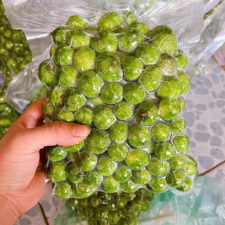 Sấu tươi Hà Nội cạo vỏ túi 1kg hút chân không cấp đông