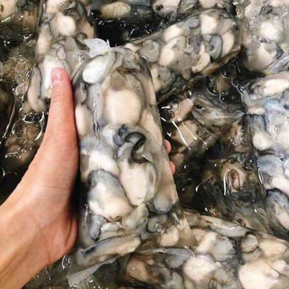 Hào sữa tươi gói 500gr