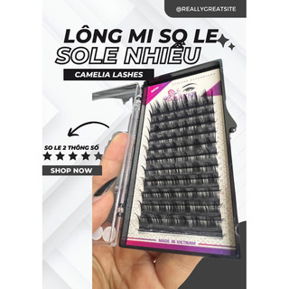 Lông mi so le - lông mi camellia, loại so le ít, cách nhau 2 thông số