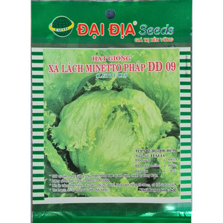 Xà Lách MINETTO Pháp , Hạt Giống xà lách xoăn