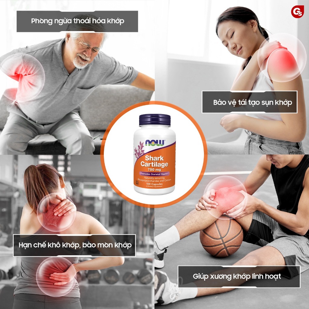 Viên sụn vi cá mập của Mỹ Now Shark Cartilage (100 viên) hỗ trợ xương, sụn khớp chắc khỏe