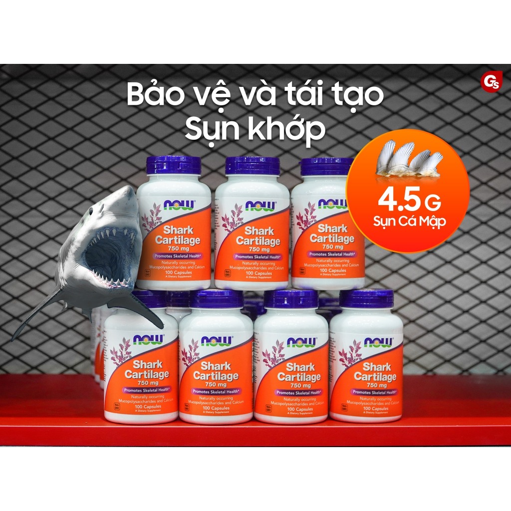 Viên sụn vi cá mập của Mỹ Now Shark Cartilage (100 viên) hỗ trợ xương, sụn khớp chắc khỏe