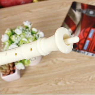 Sáo dọc Recoder 8 lỗ dành cho học sinh âm nhạc (1 Cây)