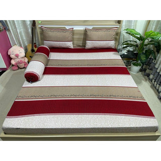 Bộ drap thun Hàn Quốc 4 món mẫu sọc