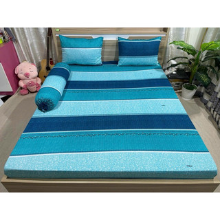 Bộ drap thun Hàn Quốc 4 món mẫu sọc