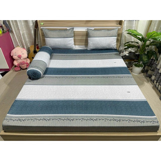Bộ drap thun Hàn Quốc 4 món mẫu sọc