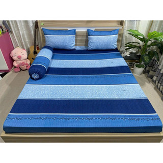 Bộ drap thun Hàn Quốc 4 món mẫu sọc