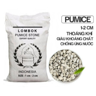 Đá bọt núi lửa pumice 1-2cm