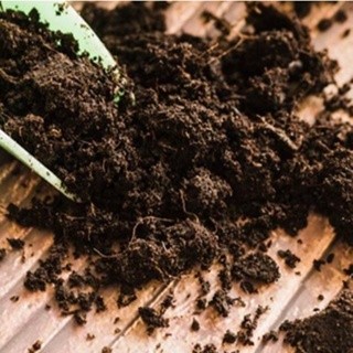 Gói phân bò hữu cơ nhỏ 25 gram