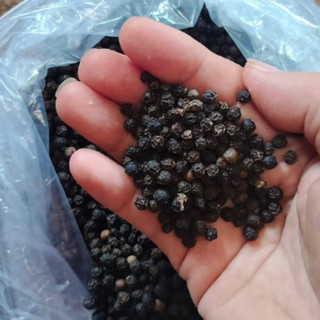 Hạt tiêu đen Phú Quốc loại 1. Hạt tiêu đen Thu Hà Food thơm, cay chắc hạt