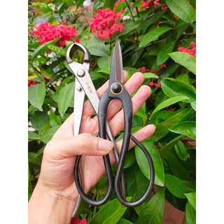 combo dụng cụ làm vườn cây cảnh,kìm cạp