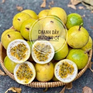 Cây giống chanh Leo hoàng kim