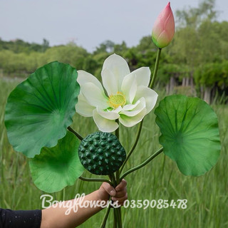 Hoa giả - hoa sen giả loại đẹp hàng cao cấp chất lượng