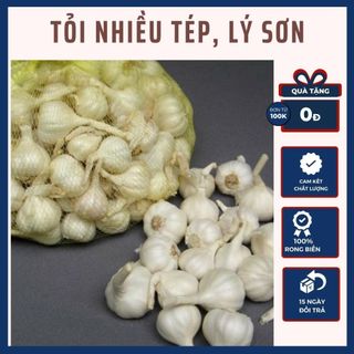 Tỏi Lý Sơn chính gốc, Tỏi Lý Sơn nhiều tép trồng tại đảo Lý Sơn - Đặc sản Lý Sơn Quảng Ngãi