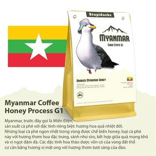 Cà Phê Arabica Myanmar Ywangan Shan State Honey Process G1 - Stupiducks Specialty Coffee