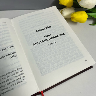 Sách - Kinh Ánh Sáng Hoàng Kim (Bìa Cứng)