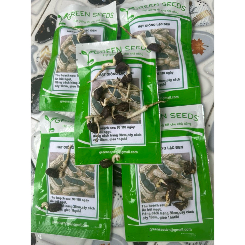 Gói 20 hạt giống lạc đen