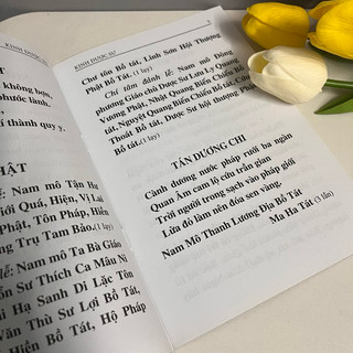 Sách - Kinh Dược Sư (HT Thích Trí Quảng)