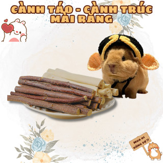 Cành táo, Cành trúc ngọt mài răng cho Hamster Bọ Ú Thỏ Cảnh