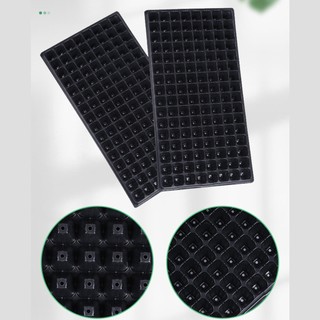 COMBO 5/10 KHAY ƯƠM HẠT GIỐNG (120-125G/KHAY)