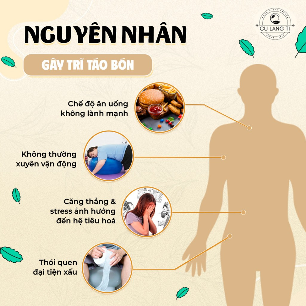 Viên Trĩ Táo Bón Cụ Lang Tị-Khi Bị Trĩ , Táo Bón,Rát Hậu Môn ,Giúp Nhanh Co ,TP Từ Diếp Cá