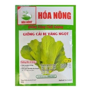 Hạt giống cải bẹ vàng ngọt - gói 20gr - Hật giống Hóa Nông