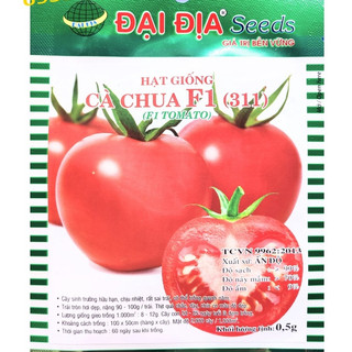 Hạt Giống Cà Chua Lai F1 Ấn Độ (0.5g)