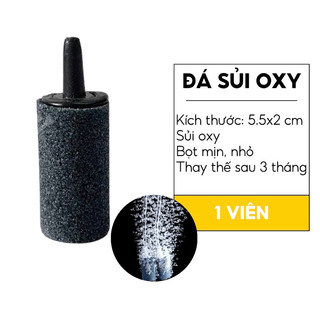 Đá sủi oxy Xám Đen loại tốt - Cục sủi oxy tạo oxy cho hồ cá cảnh