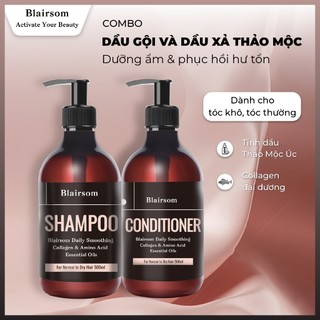 Bộ gội xả Blairsom Suôn mượt - Phục hồi hư tổn (Dành cho tóc khô, tóc thường)