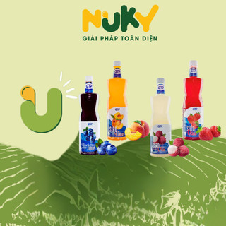 Syrup/ siro gtp đào/ vải/ ổi/ dâu/ đủ vị 930ml/ 1.9l dùng pha trà trái cây/ trà sữa