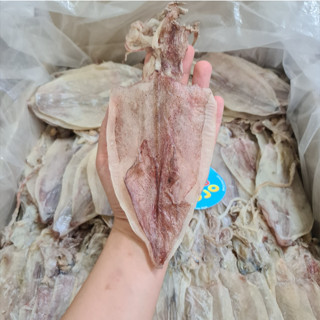 {GIÁ SỐC} 10 (9) hoặc 8 Mực Khô Câu Thịnh Long Bằng Bàn Tay Bao Ngọt