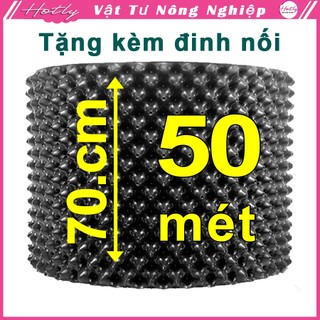 50 mét cao 70cm bầu ươm cây, chậu trồng cây thông minh v6 dày 6mm, tặng ốc vít--77904
