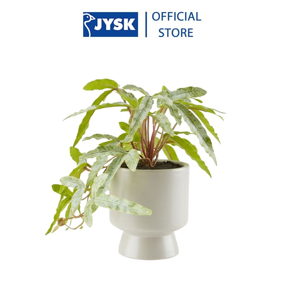 Cây trang trí | JYSK Olsen | nhựa PE/gốm | xanh lá | DK9xC20cm