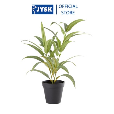 Cây trang trí | JYSK Larsson | xi măng/nhựa PE | xanh/đen | DK11xC43cm