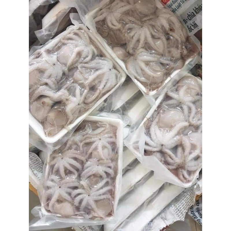 Bạch tuộc baby