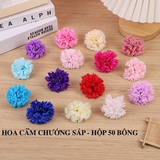 Hoa cẩm chướng dạng sáp, hoa sáp cẩm chướng, hoa cẩm chướng sáp, hoa cẩm chướng xà phòng.