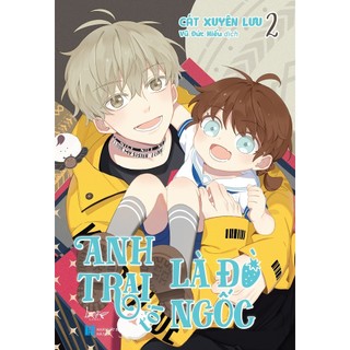 Sách - anh trai tôi là đồ ngốc