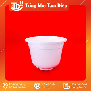 Chậu nhựa trồng cây màu trắng không hoa văn trang trí miệng loe đủ size từ nhỏ đến lớn