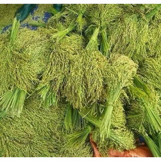 Cốm Xanh Tú Lệ - Đặc Sản Tây Bắc