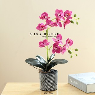 Chậu cây giả hoa lan hồ điệp decor trang trí phòng khách cửa hàng quán bàn làm việc tủ kệ Misa House