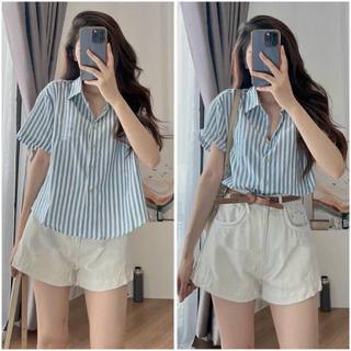 Sơ Mi ZR kẻ