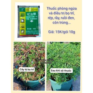 Chất Phòng Và Điều Trị Bọ Trĩ