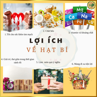 HẠT BÍ TRẮNG TÂN LỘC PHÁT | THƠM NGON