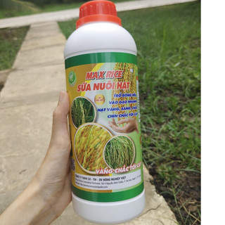 Phân bón cho lúa max rice sữa nuôi hạt chai 1 lít - trổ bông đều, vào gạo nhanh, hạt vàng, sáng chắc, chín chắc tới cậy