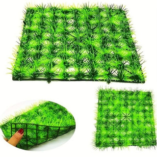 Cỏ bụi mẫu 1 (10bụi)