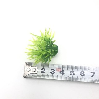 Cỏ bụi mẫu 1 (10bụi)