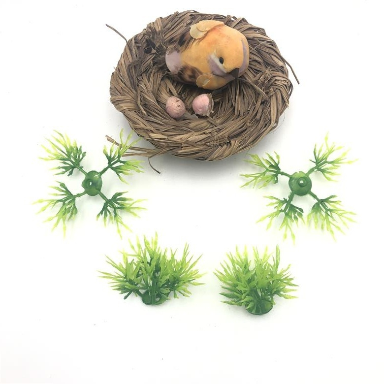 Cỏ bụi mẫu 1 (10bụi)